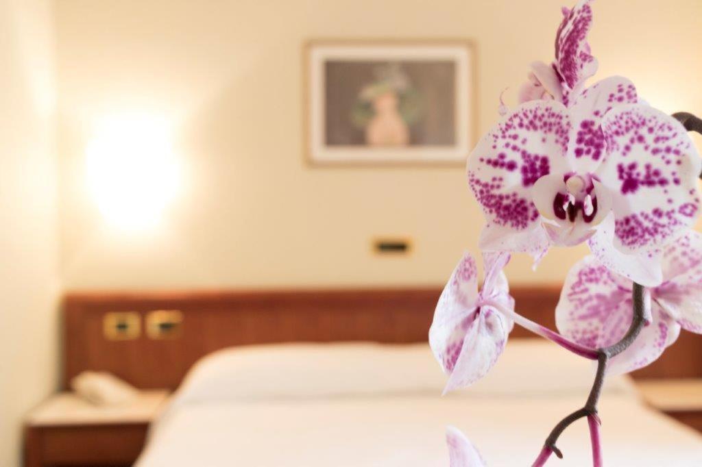 Palace Hotel Civitanova Marche Kültér fotó